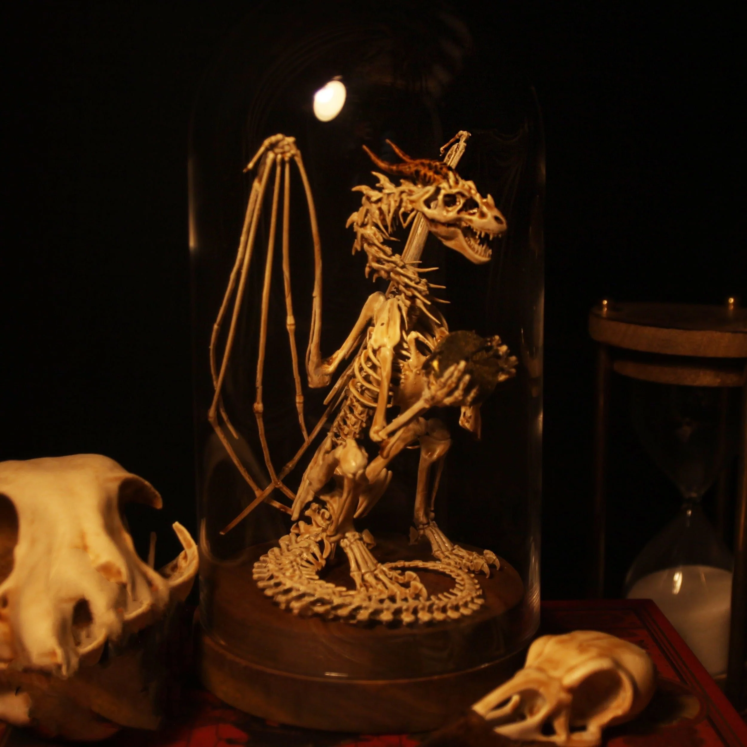 Thumbnail 12